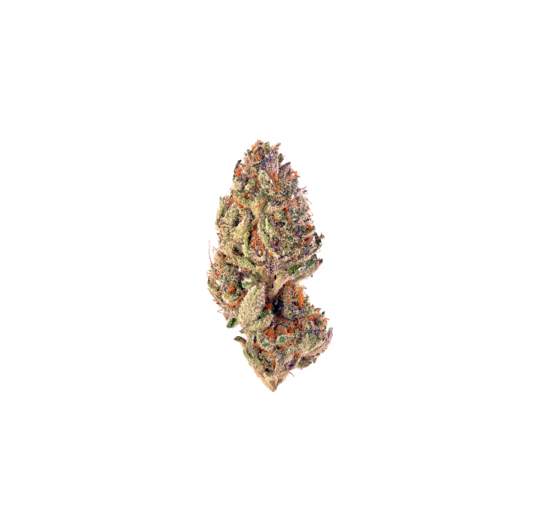 Sativa